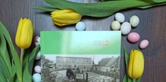 Brzostów od wsi do osiedla w Głogowie