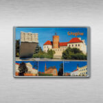 feniks-magnes-platstik-zamek-inne-XX-w-a