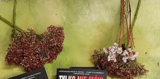 Nowości październikowe – cz.8