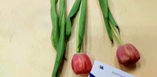 Nowości stycznia -część 10