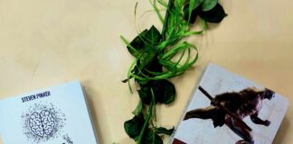 Nowości lutego-część 7