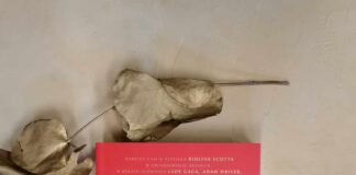 Nowości lutego-część 2