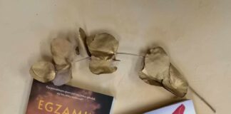 Nowości lutego-część 5