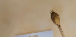 Nowości lutego-część 8