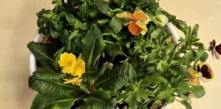 Nowości kwietnia-część 4