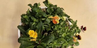 Nowości kwietnia-część 7