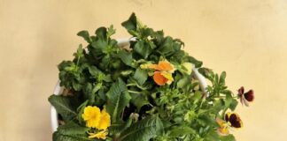 Nowości kwietnia-część 5