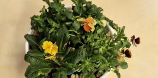 Nowości kwietnia-część 8