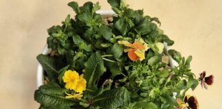 Nowości kwietnia-część 9