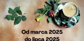 Od marca 2025 do lipca 2025 w soboty księgarnia nieczynna