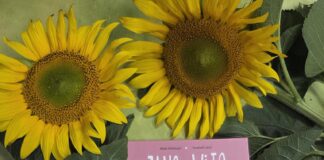 Cztery pory roku z moim ulubionym bohaterem – Lato z Janem i Wito cz.6