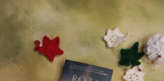 Feniks przedstawia- Agnieszka Krawczyk 3