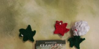 Feniks przedstawia- Agnieszka Krawczyk 1